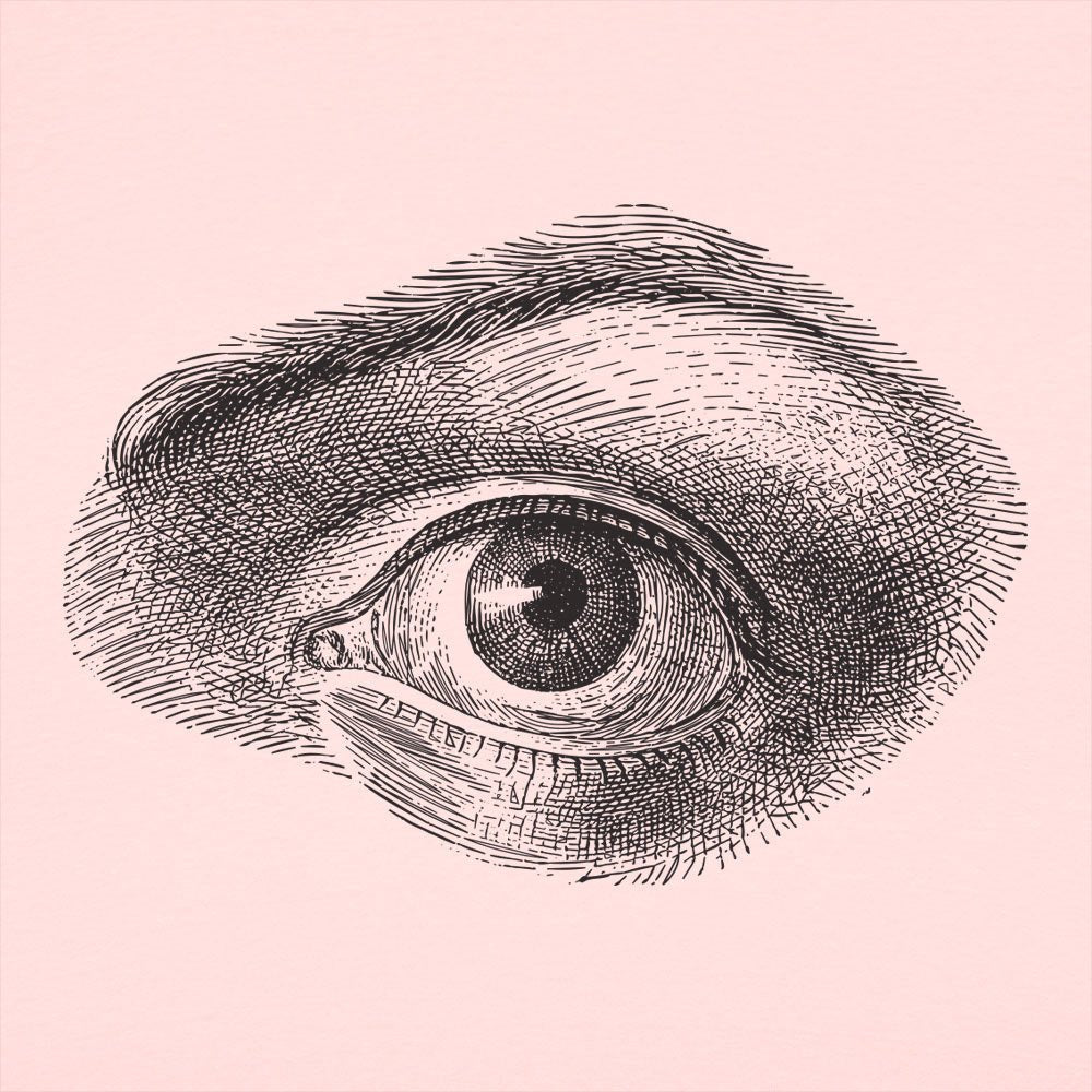 Human Eye Vintage Anatomical Illustration