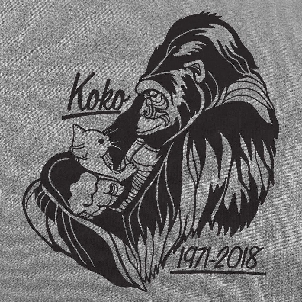Koko Memorial Gorilla 1971-2018