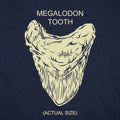 Megalodon Tooth Actual Size
