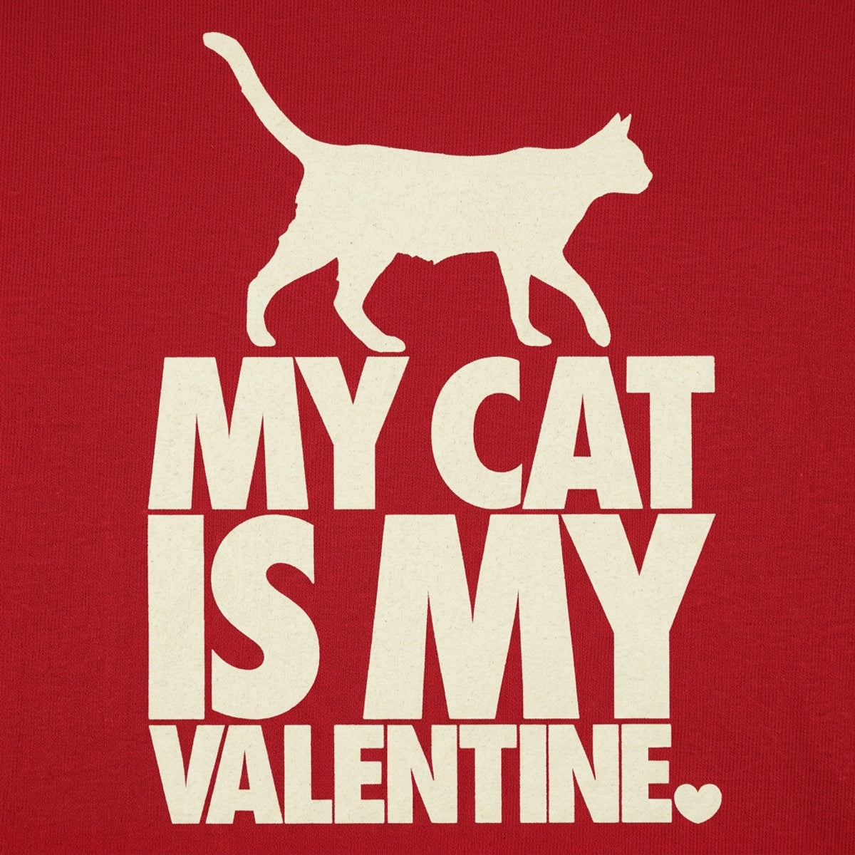 My Cat Is My Valentine