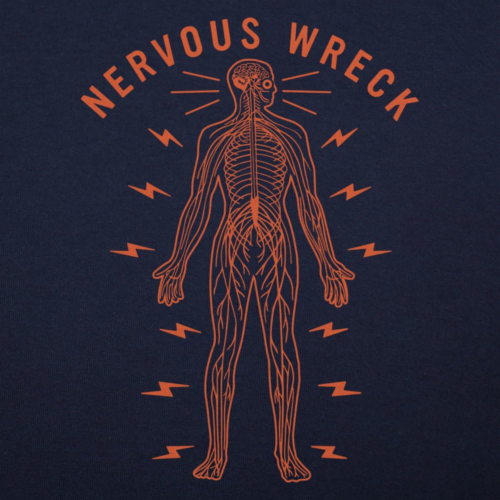 Nervous Wreck Human Nervous System Anatomy Diagram