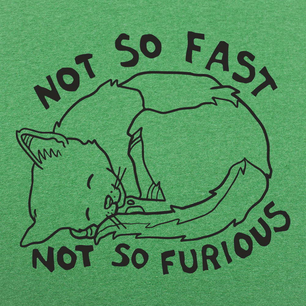 Not So Fast Not So Furious Sleeping Cat