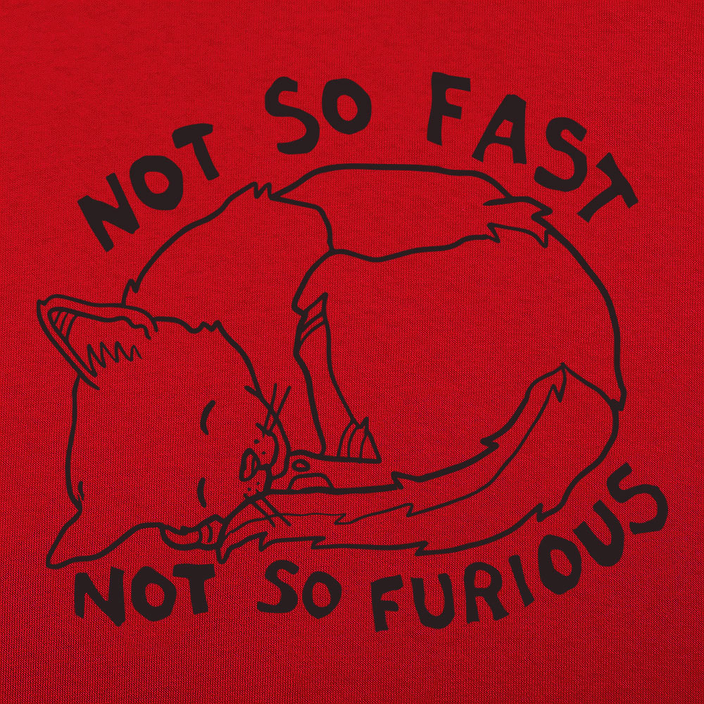 Not So Fast Not So Furious Sleeping Cat