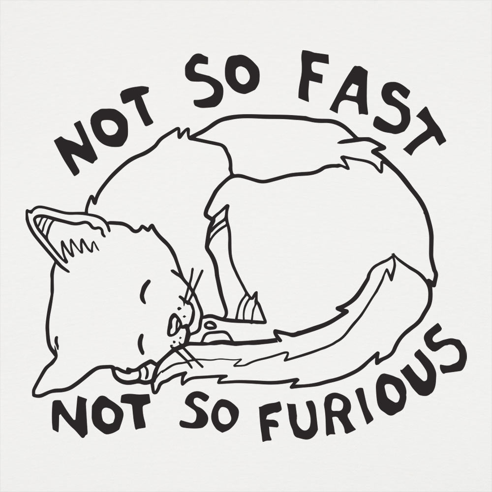 Not So Fast Not So Furious Sleeping Cat