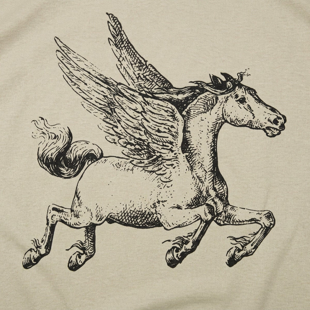 Pegasus Winged Horse Illustration