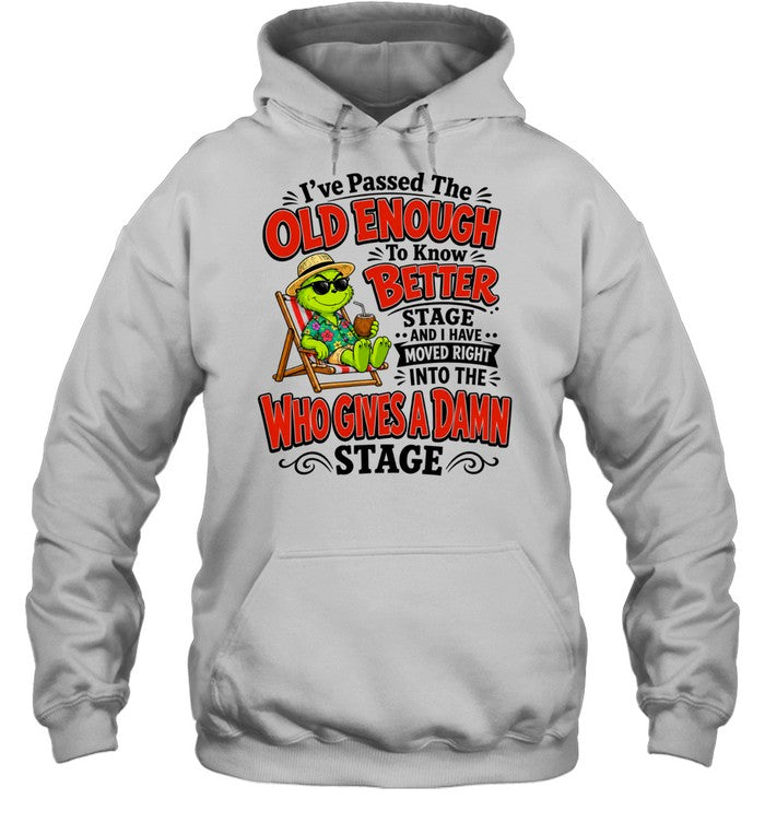 The Grinch I have passed the old enough to know better moved into who gives a damn Shirt