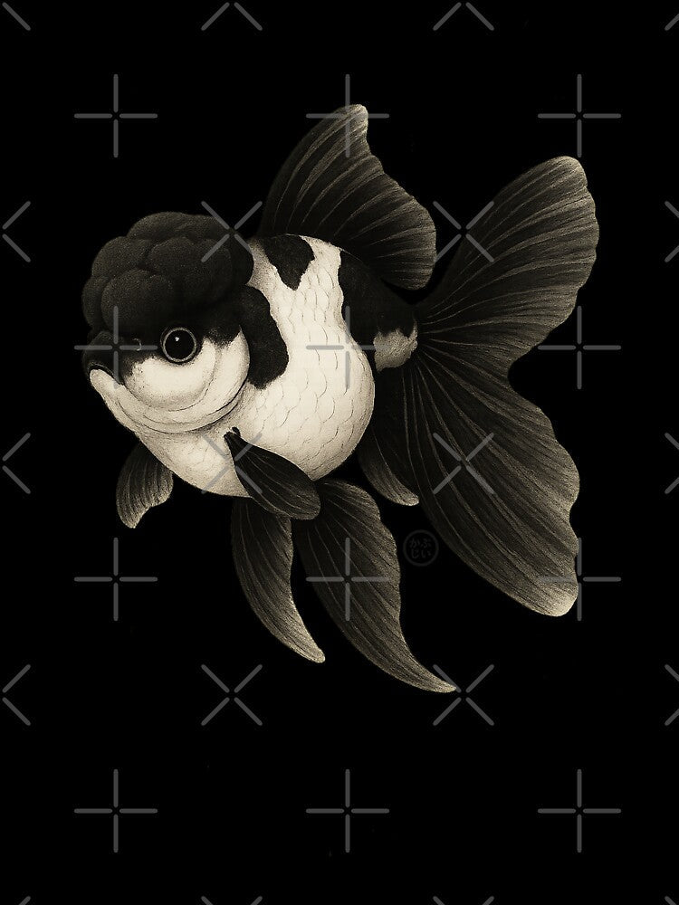 Panda Goldfish - Black Oranda Goldfish - Vintage Japanese Style Kingyo by Kabuji Store