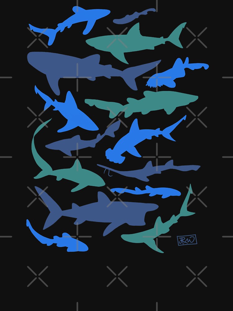 Sharks! by jenrichards