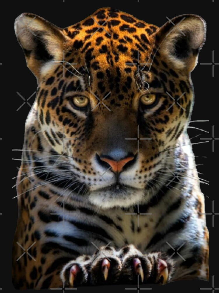 Tiger looking 3D Animations. by Nahas2020
