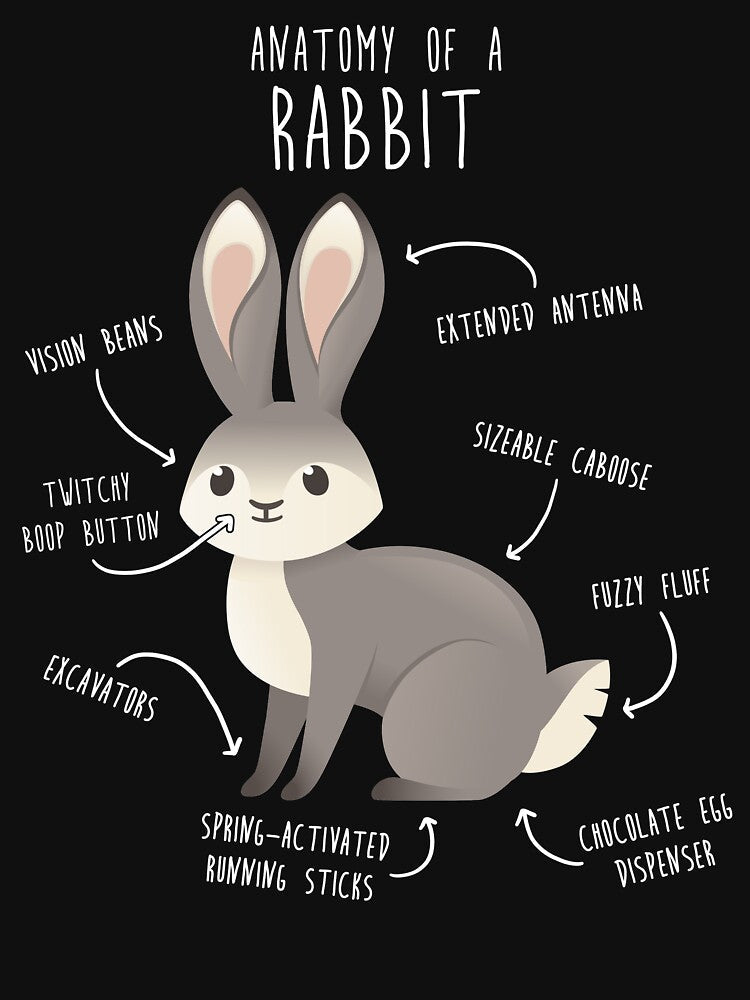 Rabbit Anatomy by Clara Hollins