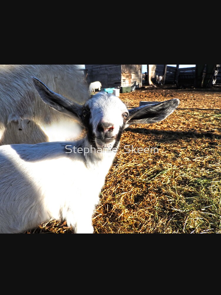 cute elf eared goat by Stephanie  Skeem