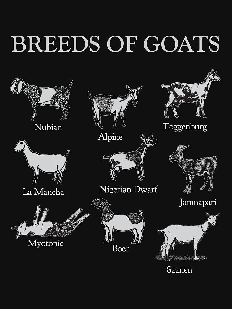 Goats Breeds Species Goat Farmer Goat Breeder by Lenny Stahl