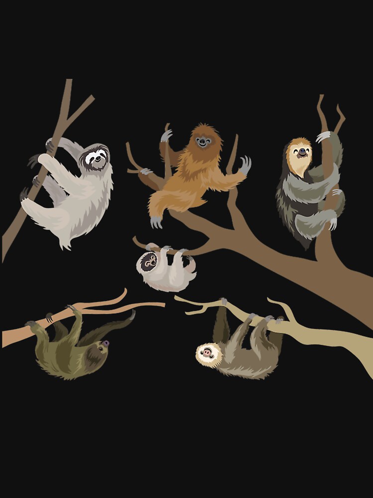 Know Your Sloths by ChristineShay