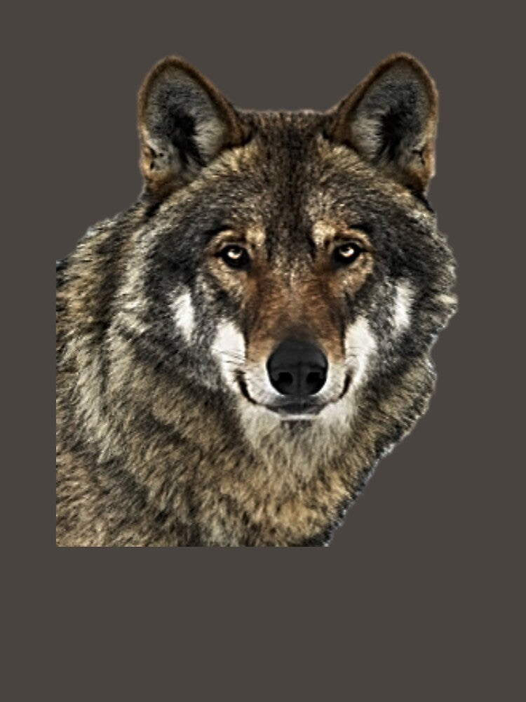 Wolf Designs by NoxLand