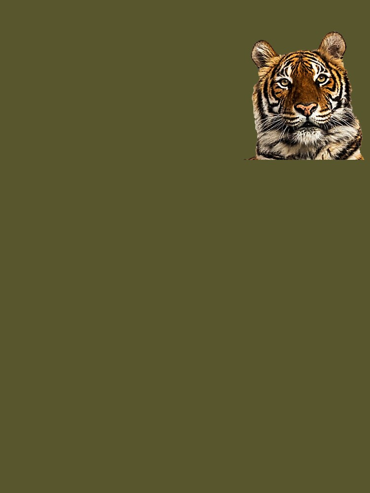 Beautiful Tiger Picture by NoxLand