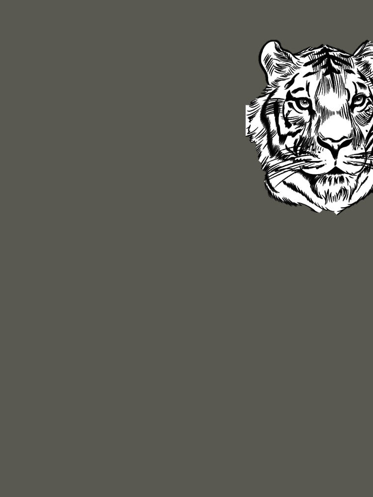 Tiger drawing by NoxLand