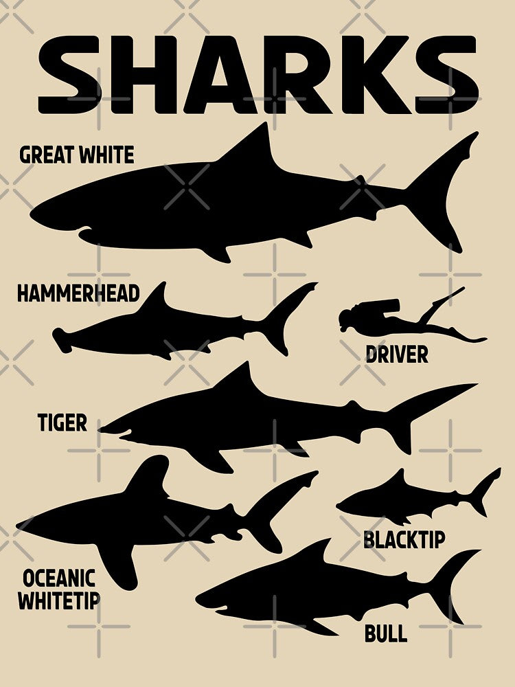 Shark Lengths Sizes Types Species Ocean Fish Lover Gift by TheAplus