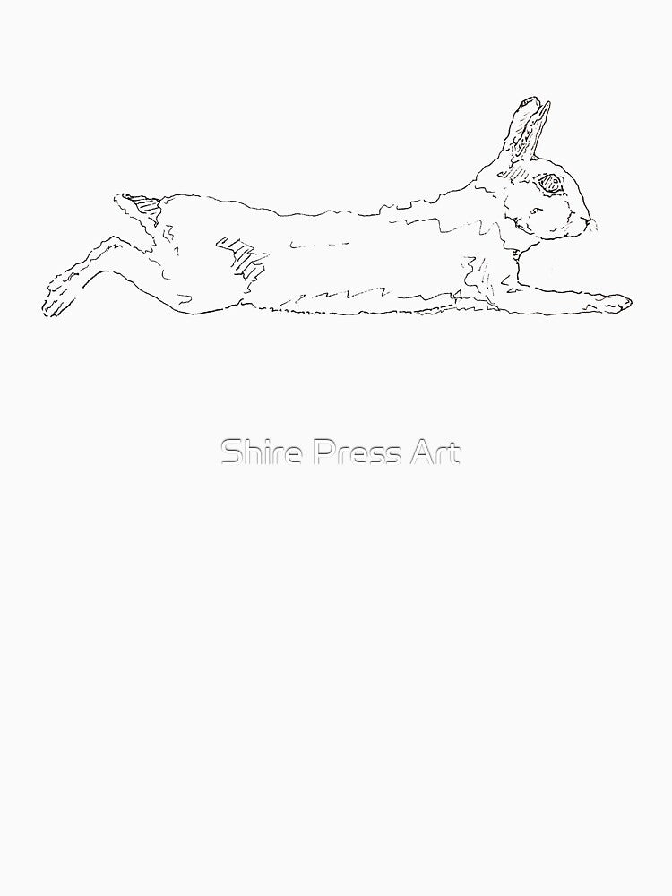 Leaping Rabbit by Shire Press Art