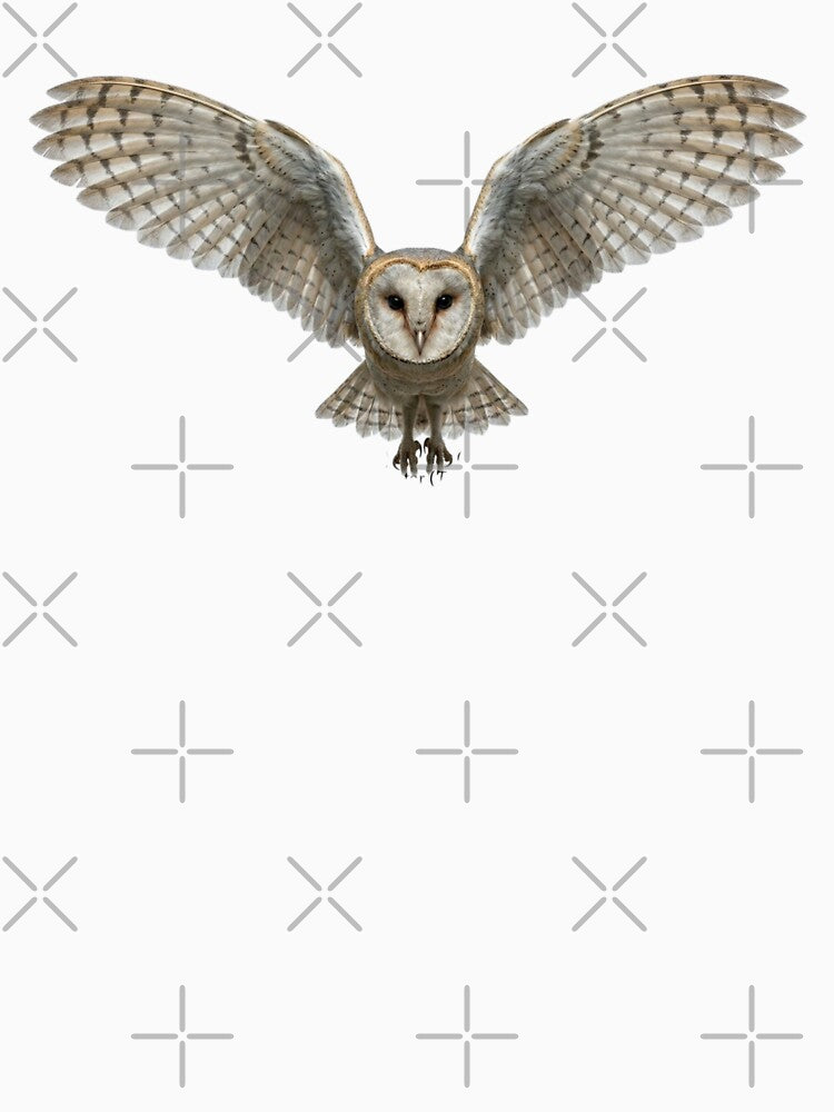 Owl by Jimhebbe