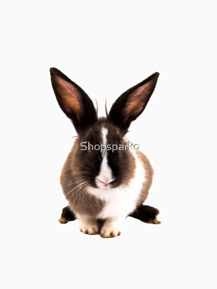 Unic Design of Rabbit. by Shopsparko