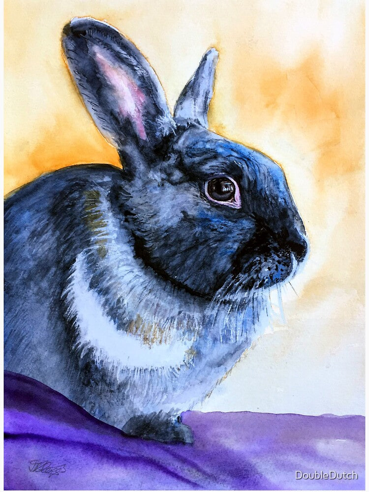 Watercolour portrait of Ebony, our black rabbit by Double Dutch Designs