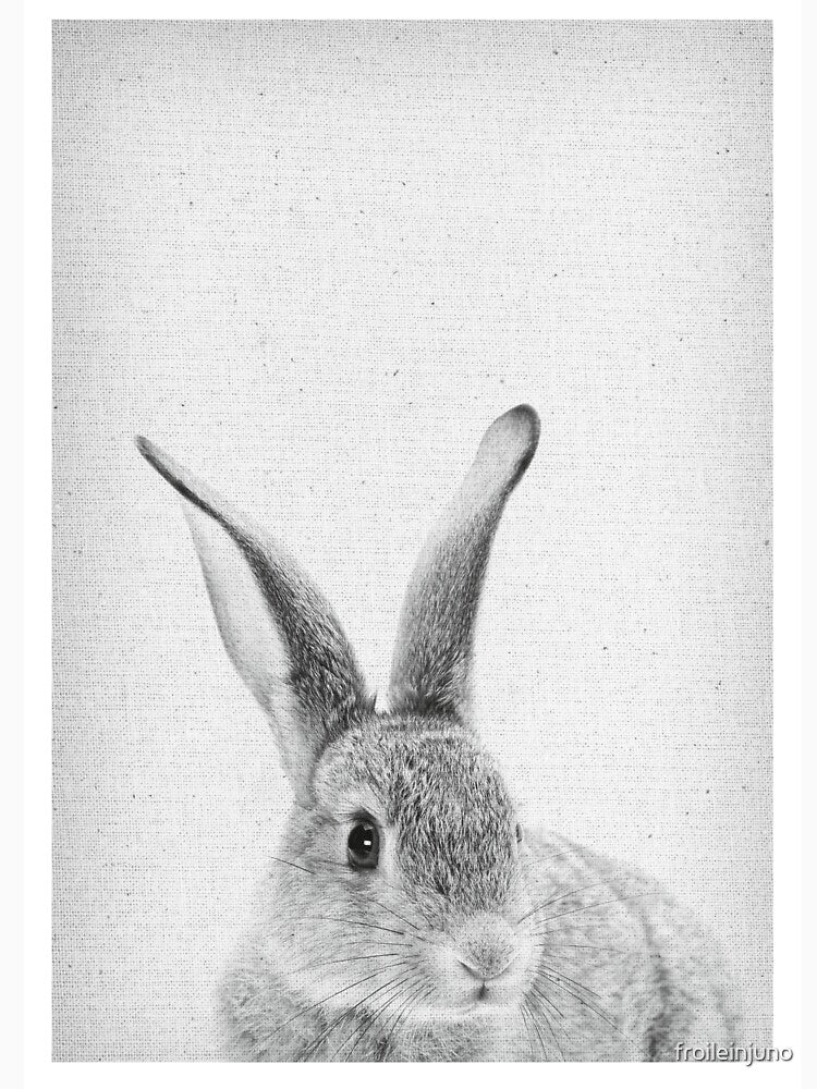 Rabbit 33 by froileinjuno