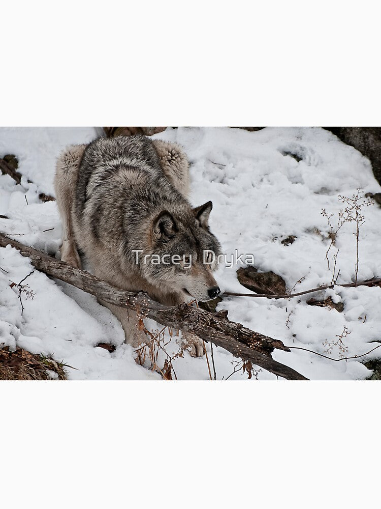 Anxious by Tracey  Dryka
