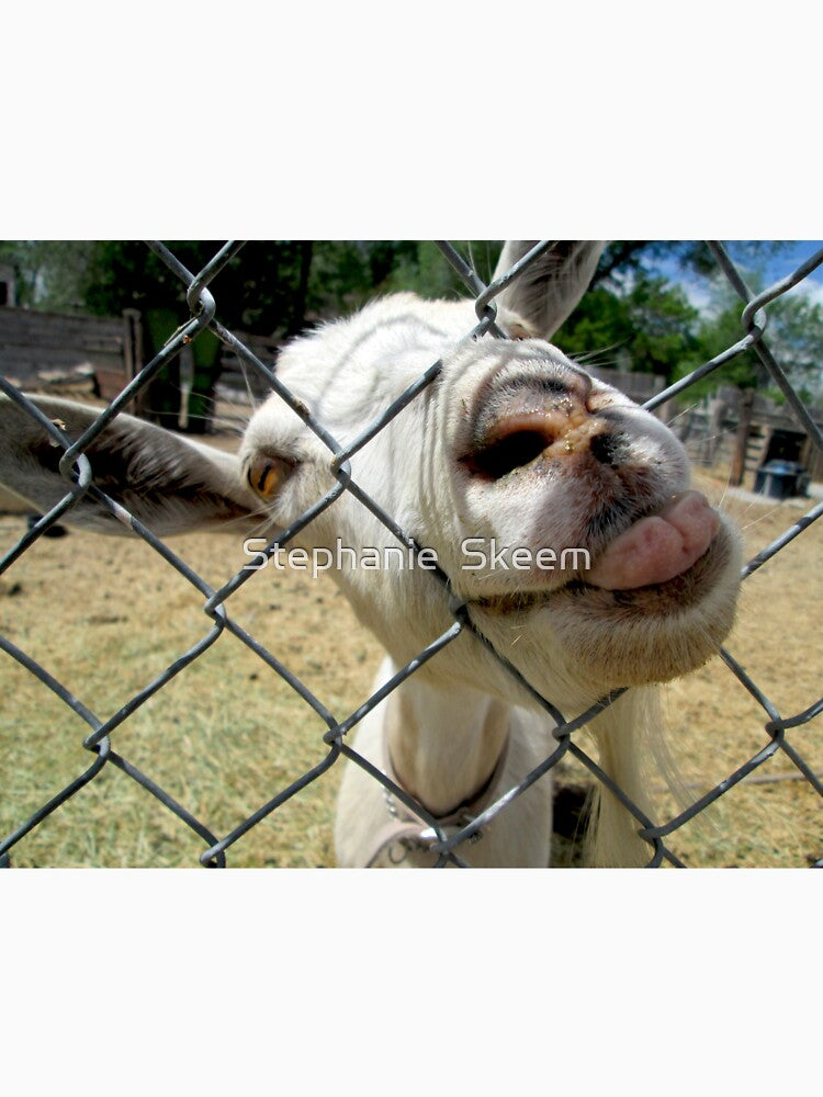 funny goat sticking out its tongue by Stephanie  Skeem