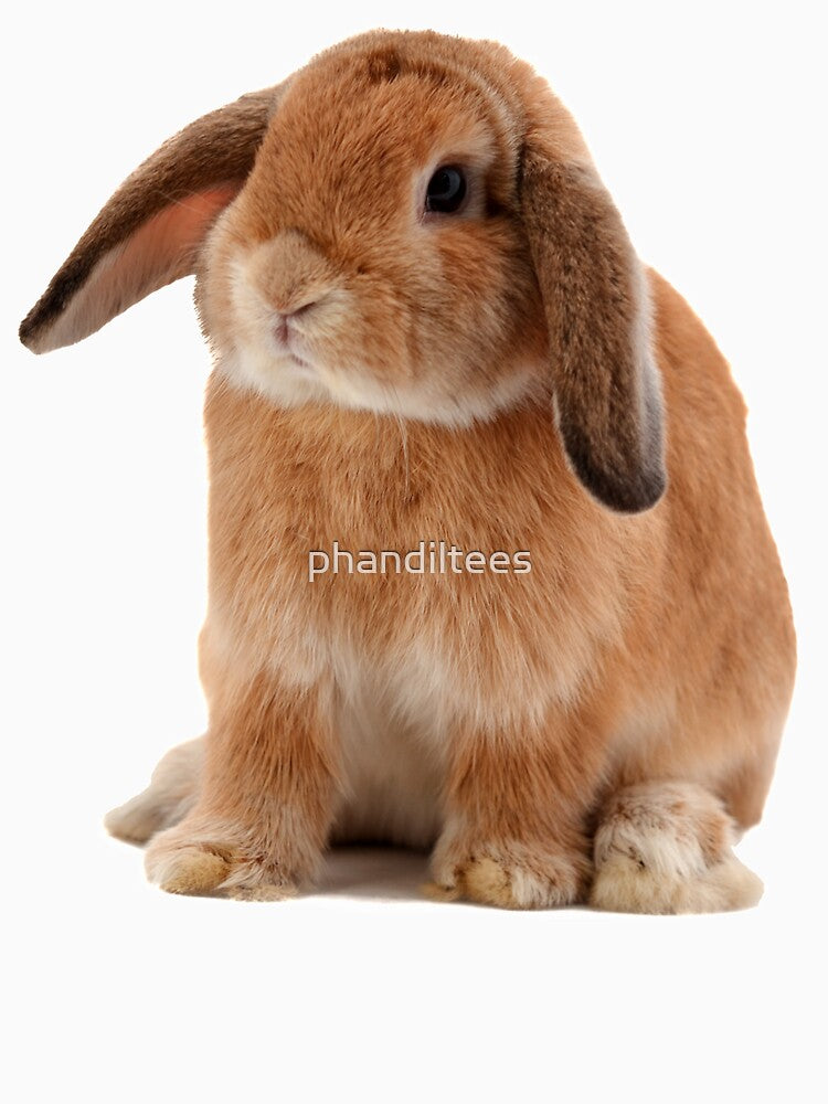 Lop Eared Rabbit by DoodleDashCollective