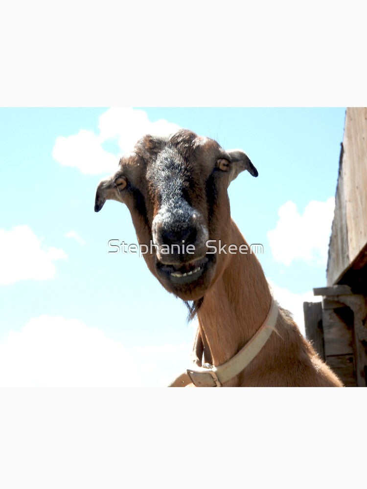 goat head in the clouds by Stephanie  Skeem
