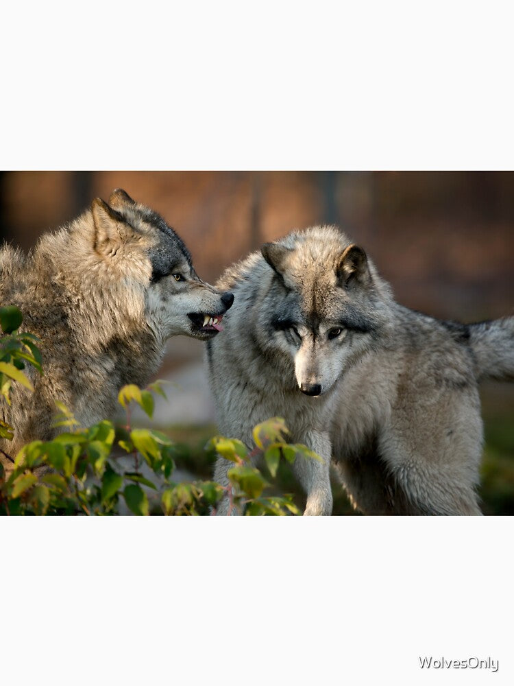 Boy, You In Trouble Now! by WolvesOnly