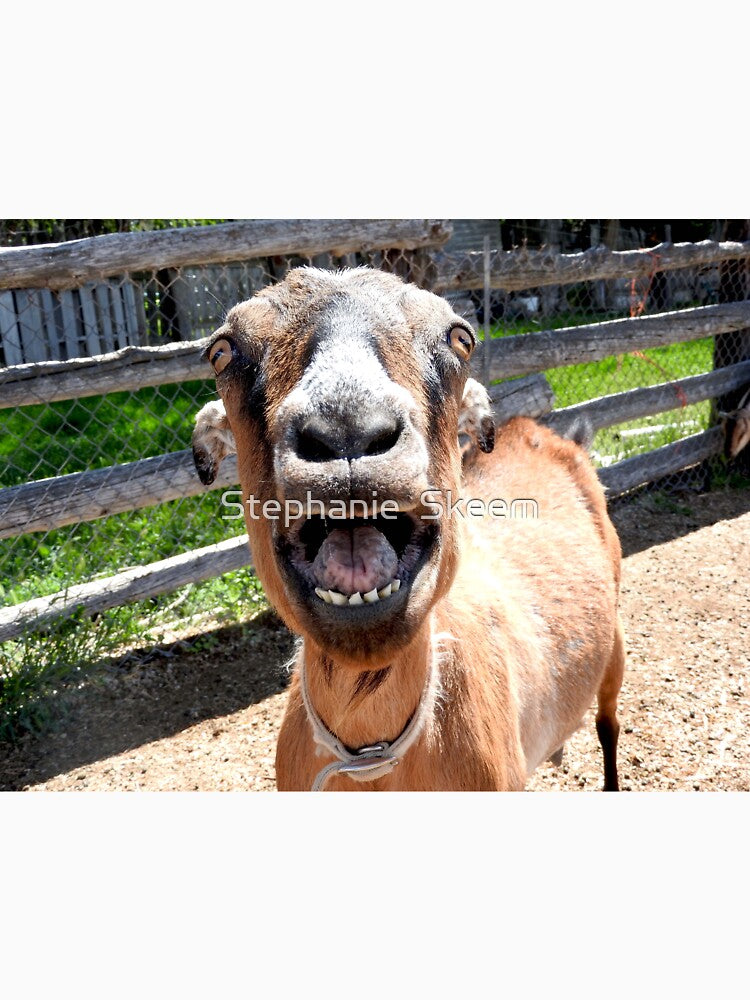 Funny yelling goat, goat mouth, screaming goat by Stephanie  Skeem