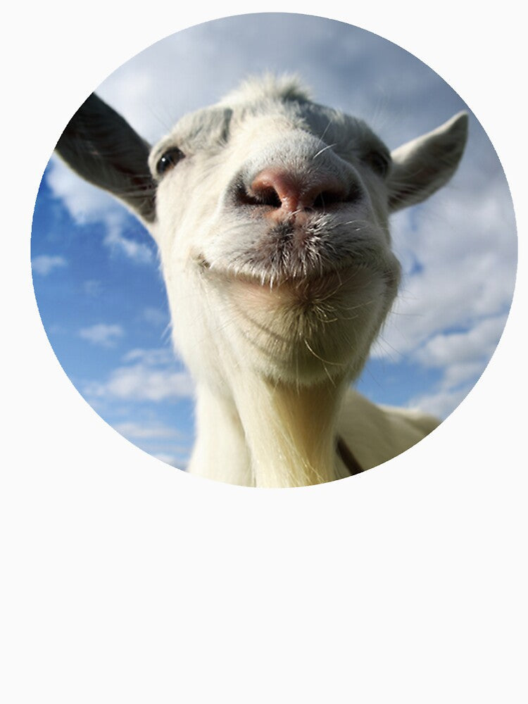 Goat Simulator by Look-I-Made-It