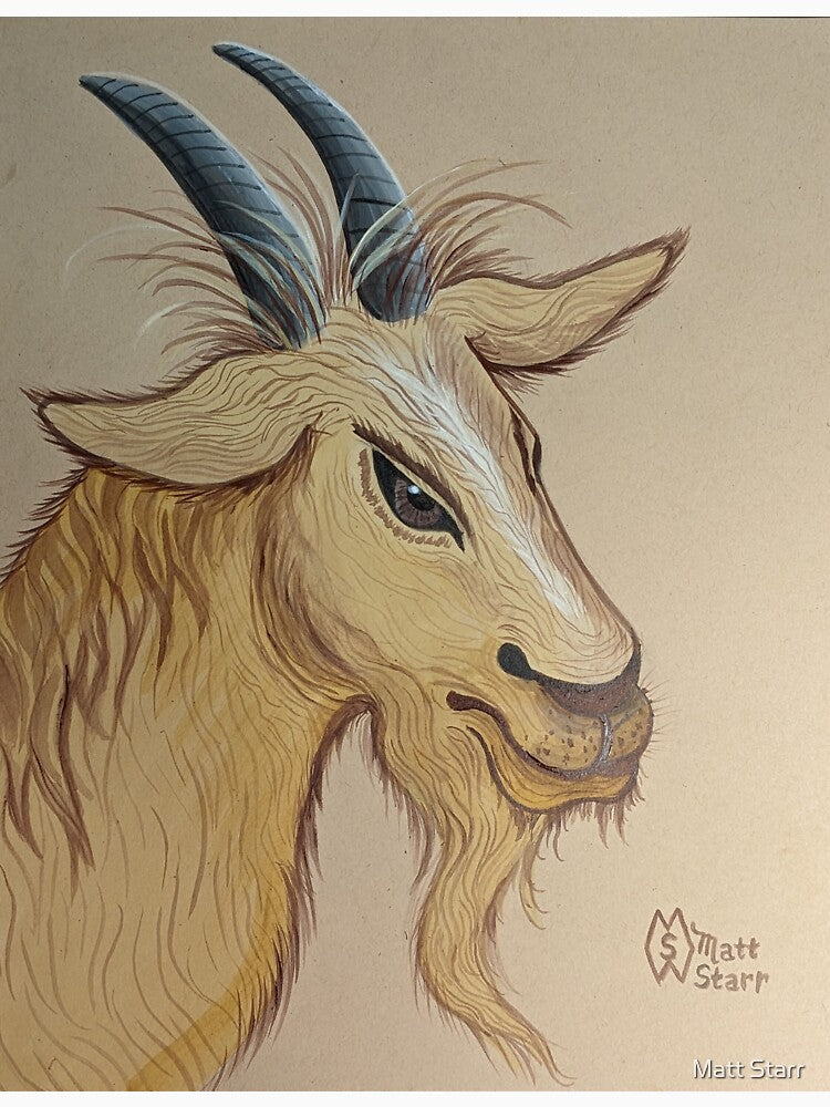 The Tough Billy Goat by Matt Starr