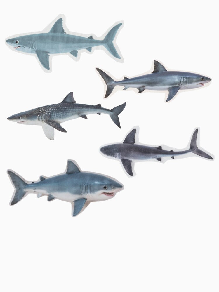 sharks by memorylapsecafe