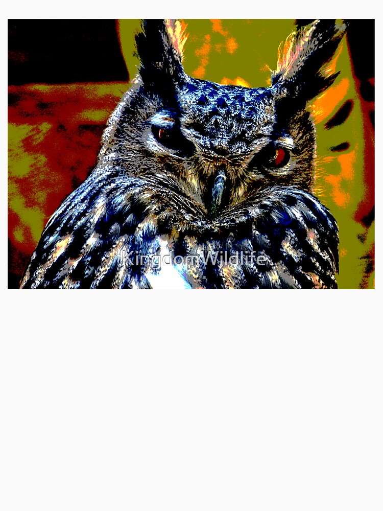 Owl #10 by KingdomWildlife