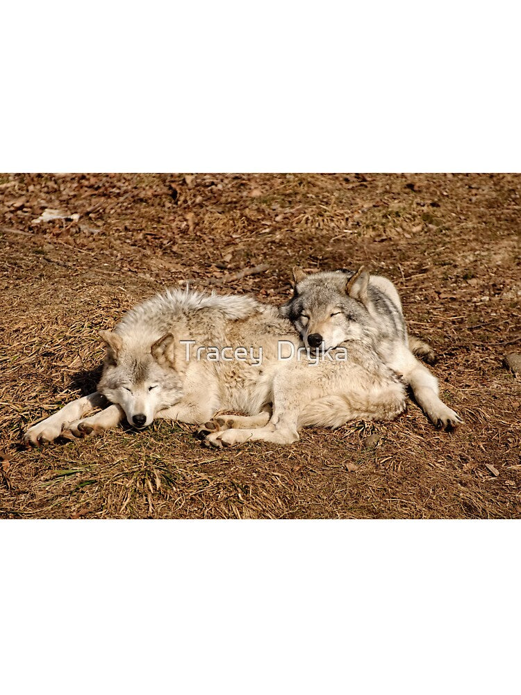 A little relaxation!! by Tracey  Dryka