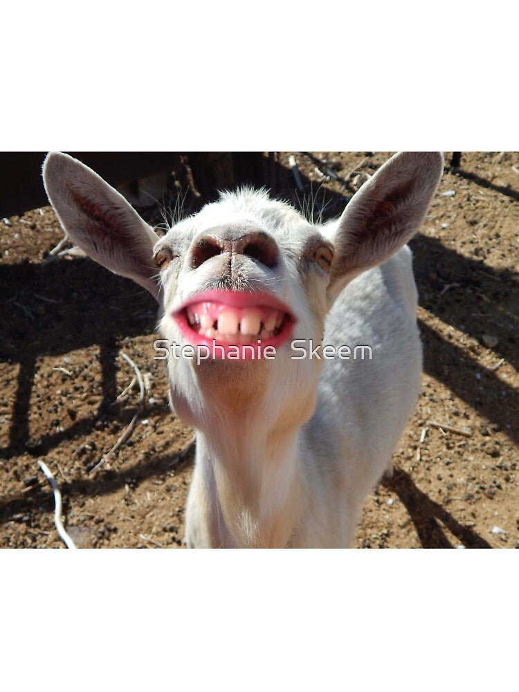 funny smiling goat by Stephanie  Skeem