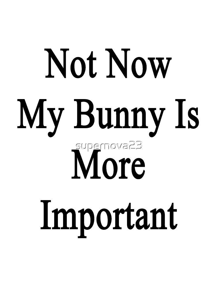 Not Now My Bunny Is More Important by supernova23