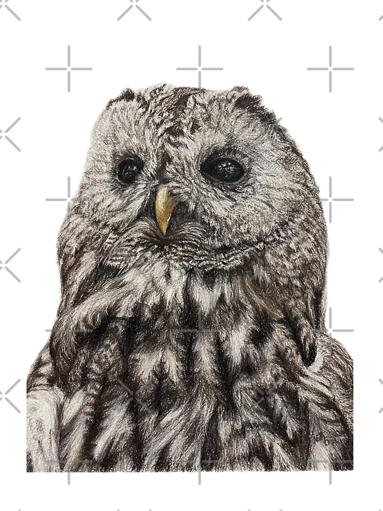 Striped Owl Owl | animal decor by NathBros