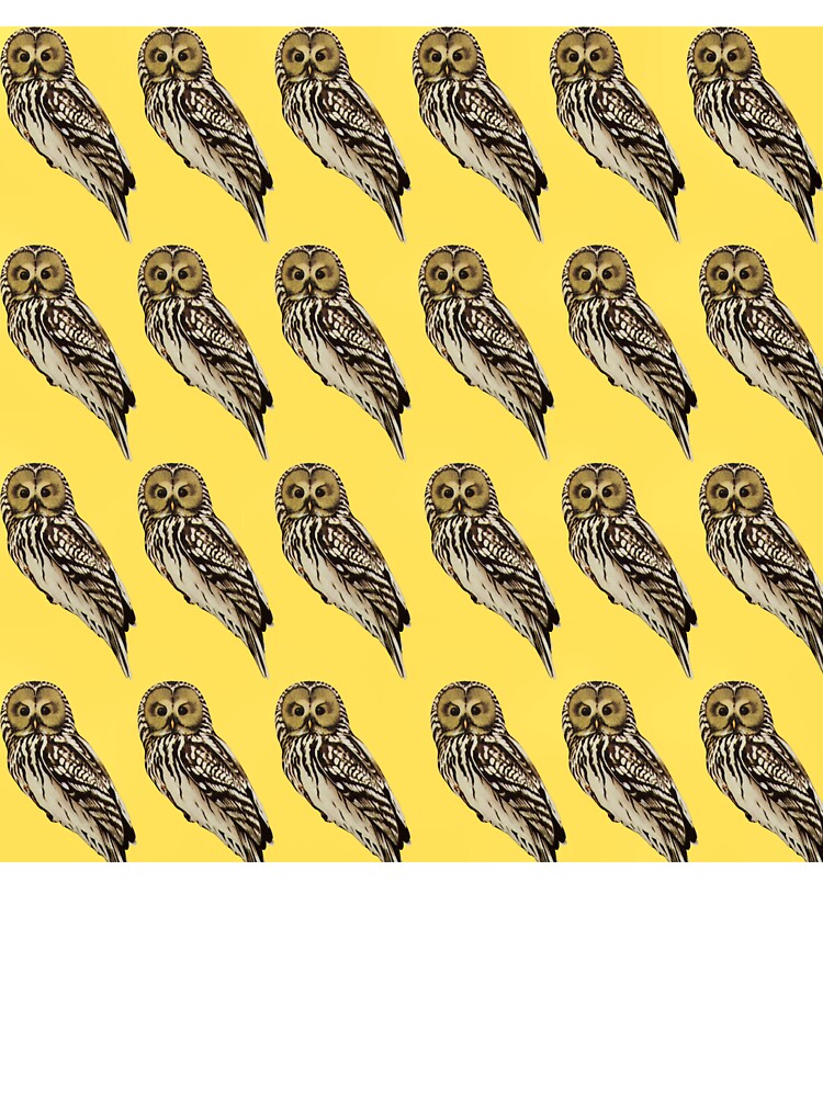 Owl on yellow background by happytraveller1