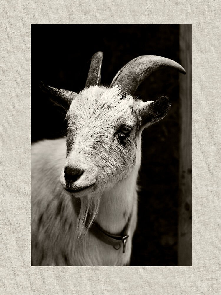 Mr. Goat by K D Graves Photography