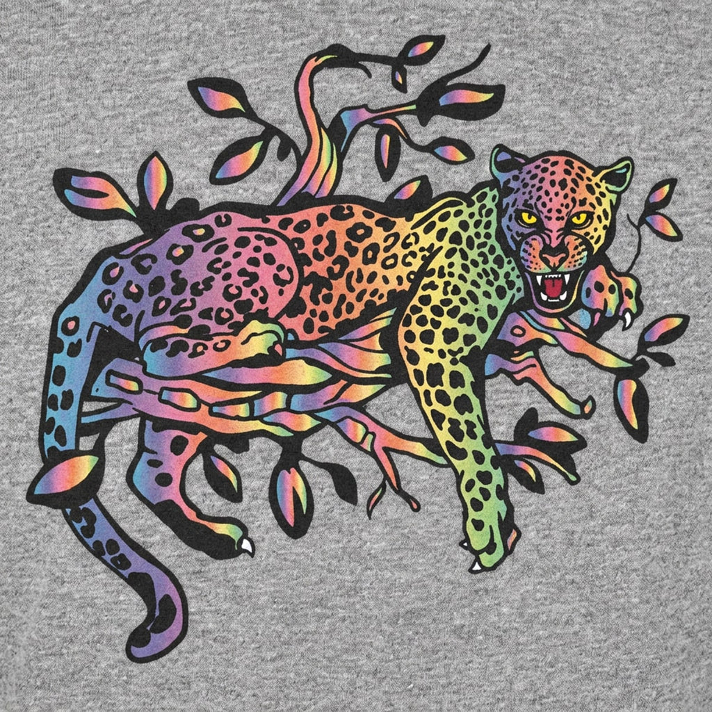 Rainbow Leopard Lounging Full Color