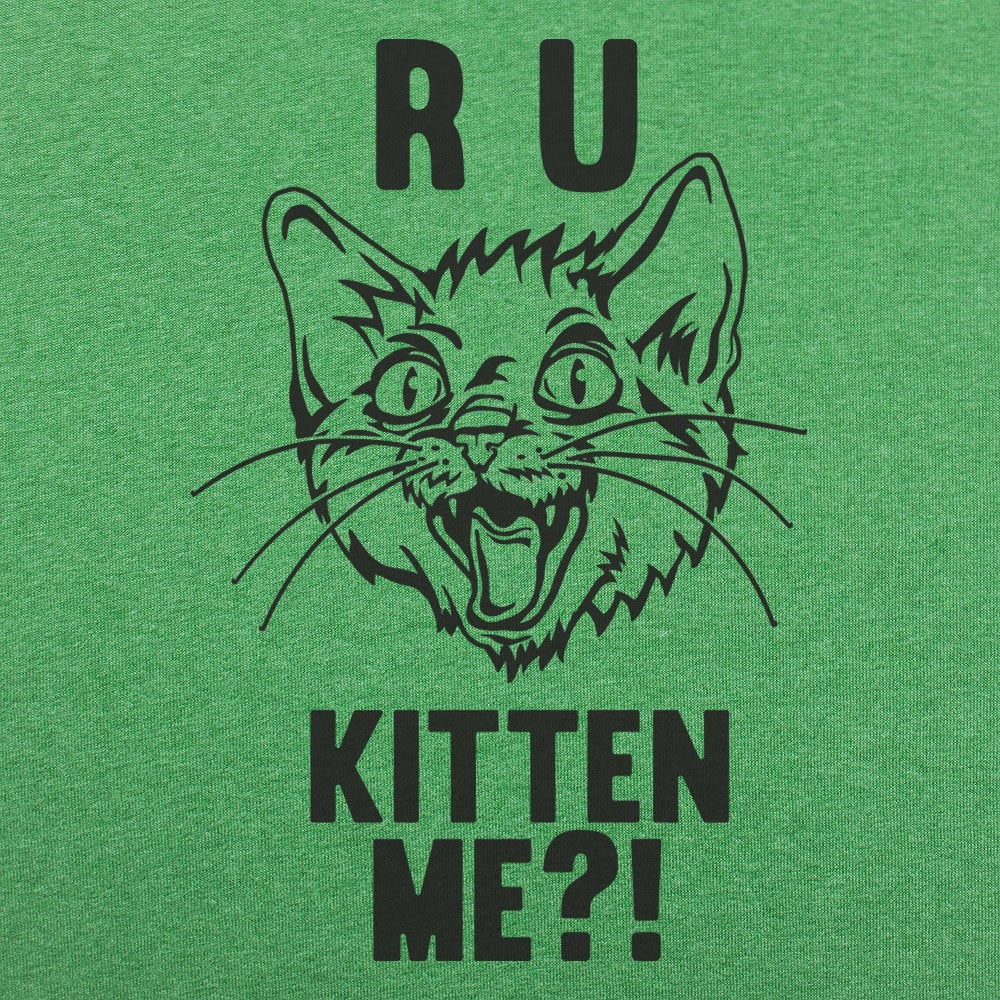 R U Kitten Me Wild Eyed Hissing Cat Face Pun