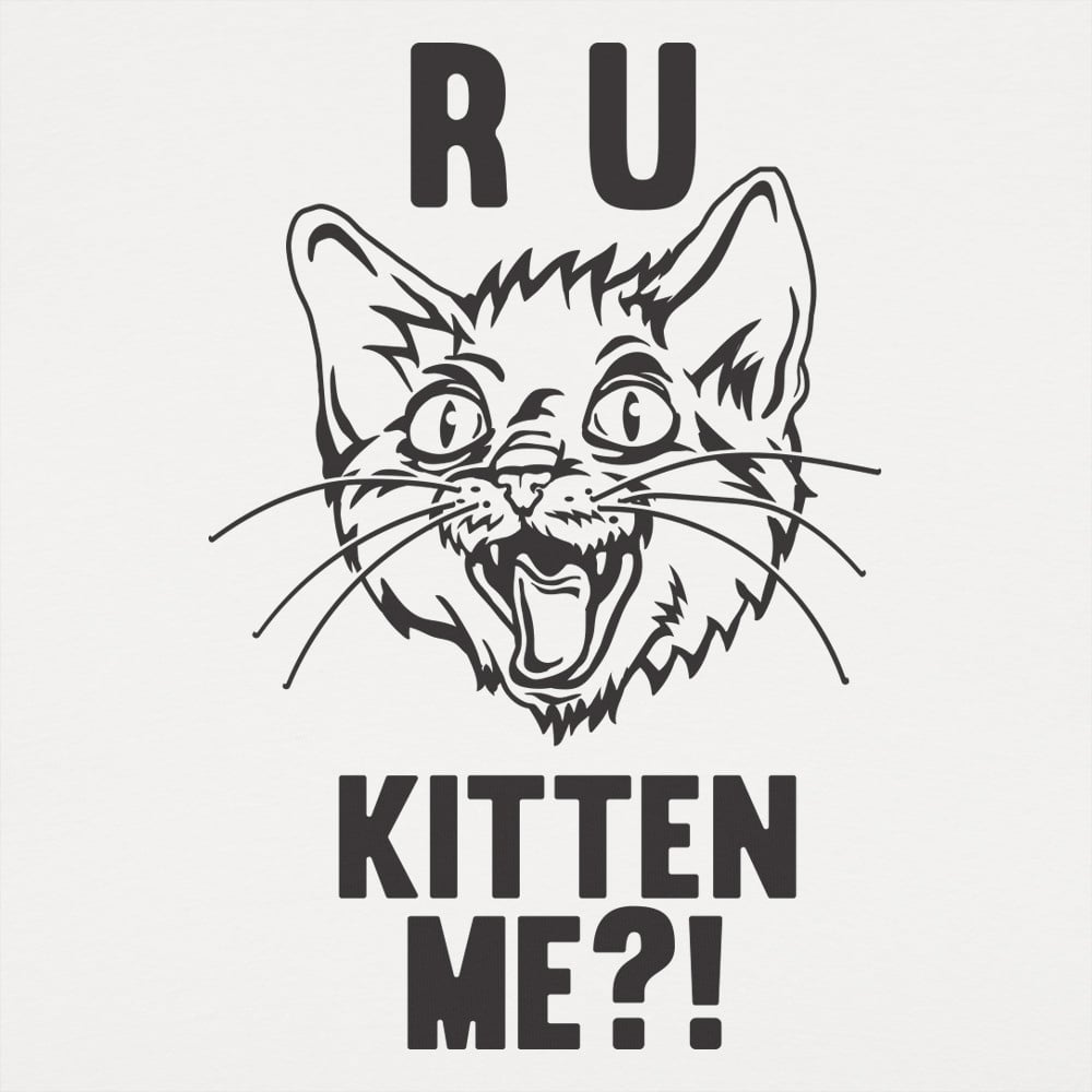 R U Kitten Me Wild Eyed Hissing Cat Face Pun