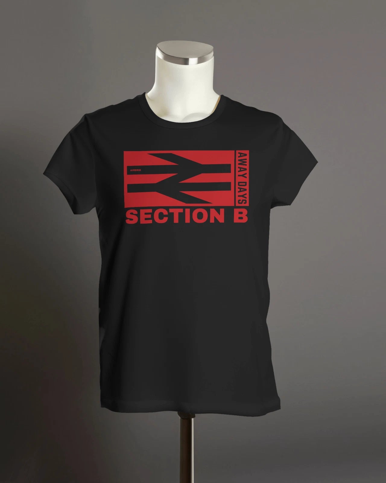 Airdrie SECTION B Away Days T-Shirt | Hooligan | Unisex Organic