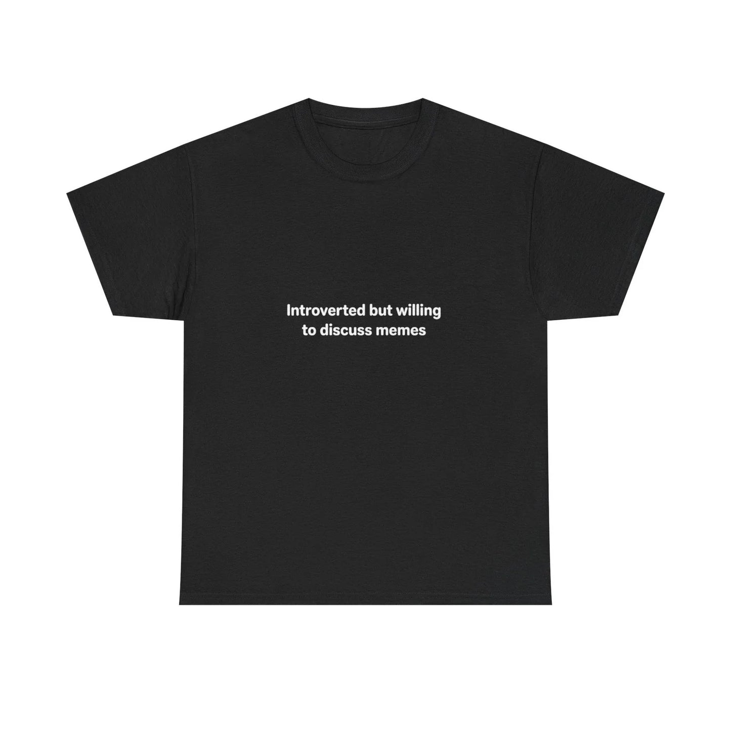 Introverted but Willing to Discuss Memes T-Shirt | Minimal Text Tee