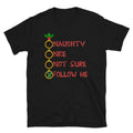 Christmas T-Shirt, Naughty Nice Follow Me Funny Christmas Novelty Gift T Shirt