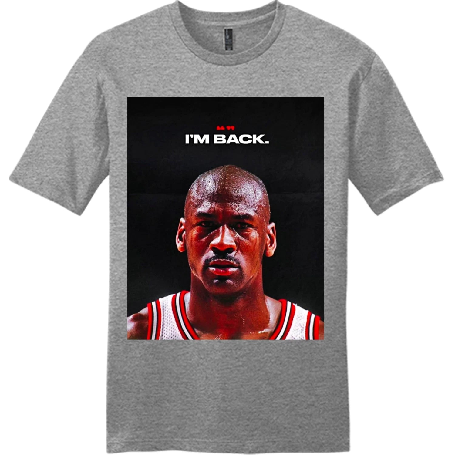 NEW Art Society MJ AIR 23 IM BACK GREY FROST Tee Shirt SMALL-4XLARGE MADE IN USA