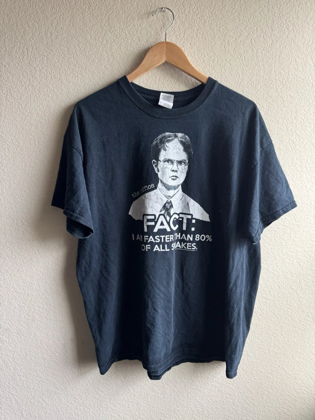 The Office-Dwight “I Am Faster Than 80% Of Snakes Vintage Tshirt Size XL